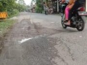 Waspada…!!!     Jalan di Bawah Alai Berlubang dan Tidak Rata, Warga Harapkan Perbaikan