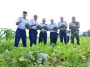 Panen Raya Semangka di Lanud Sutan Sjahrir, Wujud Nyata Dukungan terhadap Ketahanan Pangan Nasional