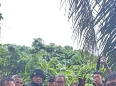 Gercep Tim Gabungan Polda Sumsel Polres Muba Berhasil Tangkap Bapak Dan Anak Pelaku Pembunuhan Di Muba