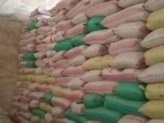 Jagung 20 Ton Senilai Rp.120 juta Belum Dibayar Oleh CV. PMJF, Pemilik Berencana Tempuh Jalur Hukum