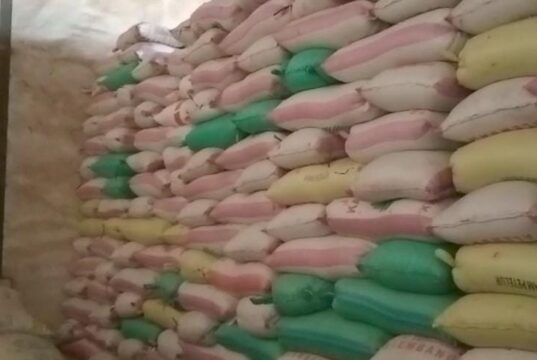 Jagung 20 Ton Senilai Rp.120 juta Belum Dibayar Oleh CV. PMJF, Pemilik Berencana Tempuh Jalur Hukum