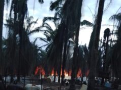 Kawasan Hindoli Kembali Menyala, Kapolres Janjikan Bakal Ada Tersangka