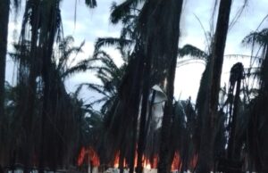 Kawasan Hindoli Kembali Menyala, Kapolres Janjikan Bakal Ada Tersangka