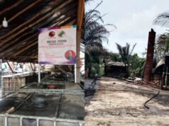 Janji Bakal Ada Tersangka, Kapolres Muba Diduga Bohong, Penyulingan Minyak Ilegal Meledak Lagi di Keluang